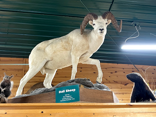 Sporting Goods Store «Midwestern Shooters Supply», reviews and photos, 191 Church St, Lomira, WI 53048, USA