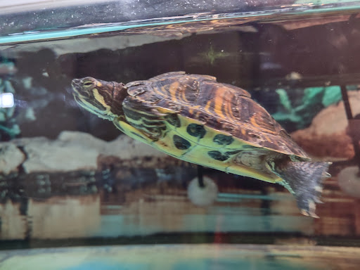 Pet Supply Store «Petco Animal Supplies», reviews and photos, 4820 South Baldwin Road #3B, Orion Township, MI 48359, USA