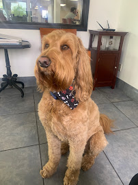 Tumminia Mazda - Photo 7 - Car repair in Olathe, KS, Olathe