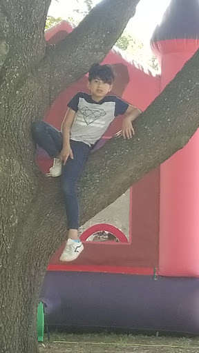 Park «Gateway Park», reviews and photos, 2500 N Jim Miller Rd, Dallas, TX 75227, USA