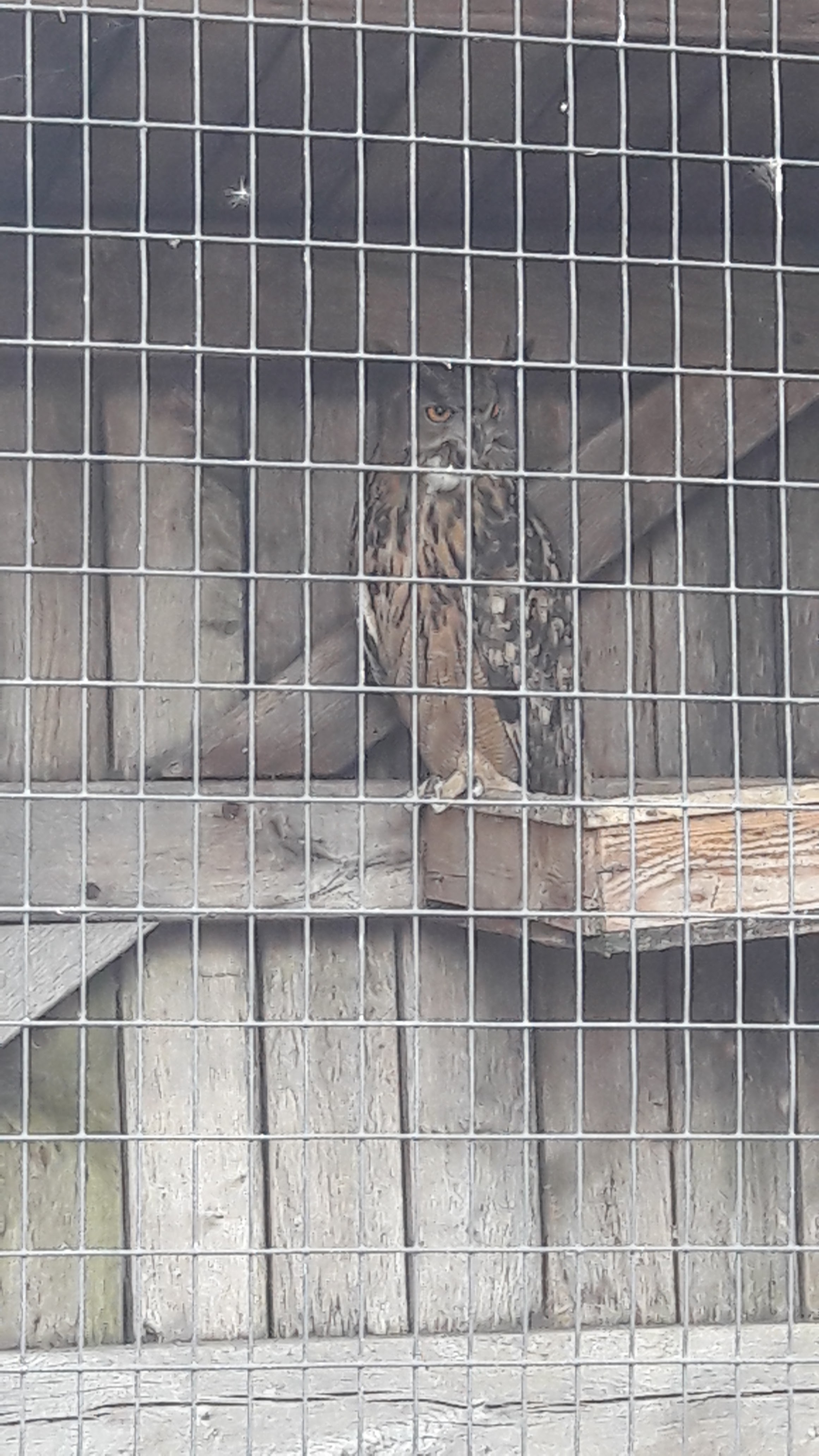 Photo n° 9 de l'avis de Lise.e fait le 14/07/2018 à 16:26