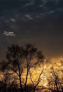 Jon Lamar Photography - Car repair in , Detroit - Rated 5.0/5