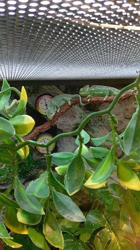 Pet Supply Store «Petco Animal Supplies», reviews and photos, 717 SE Geary St #101, Albany, OR 97321, USA