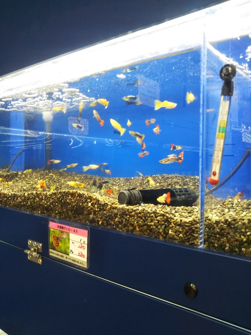 コメリパワー 東部店 長野県東御市祢津字砂田 ホームセンター ホームセンター グルコミ