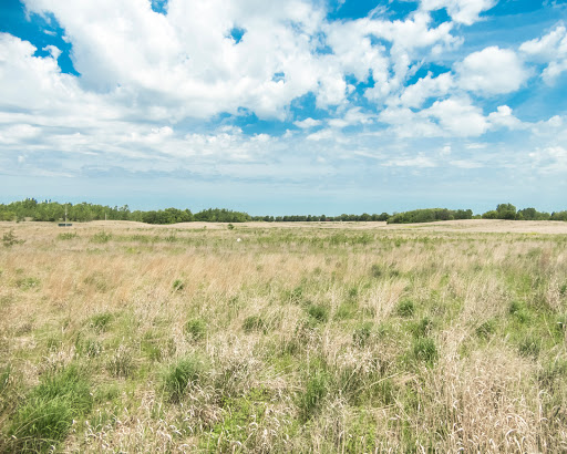 Bird Watching Area «Jelke Creek Bird Sanctuary», reviews and photos, Boncosky Rd, Dundee Township, IL 60118, USA