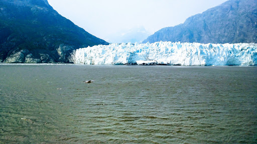 Travel Agency «Landfall Travel», reviews and photos, 19104 Old Detroit Rd, Rocky River, OH 44116, USA