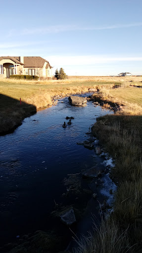 Golf Course «Buffalo Run Golf Course», reviews and photos, 15700 E 112th Ave, Commerce City, CO 80022, USA