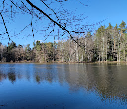 Veit-Stoß-Anlage photo