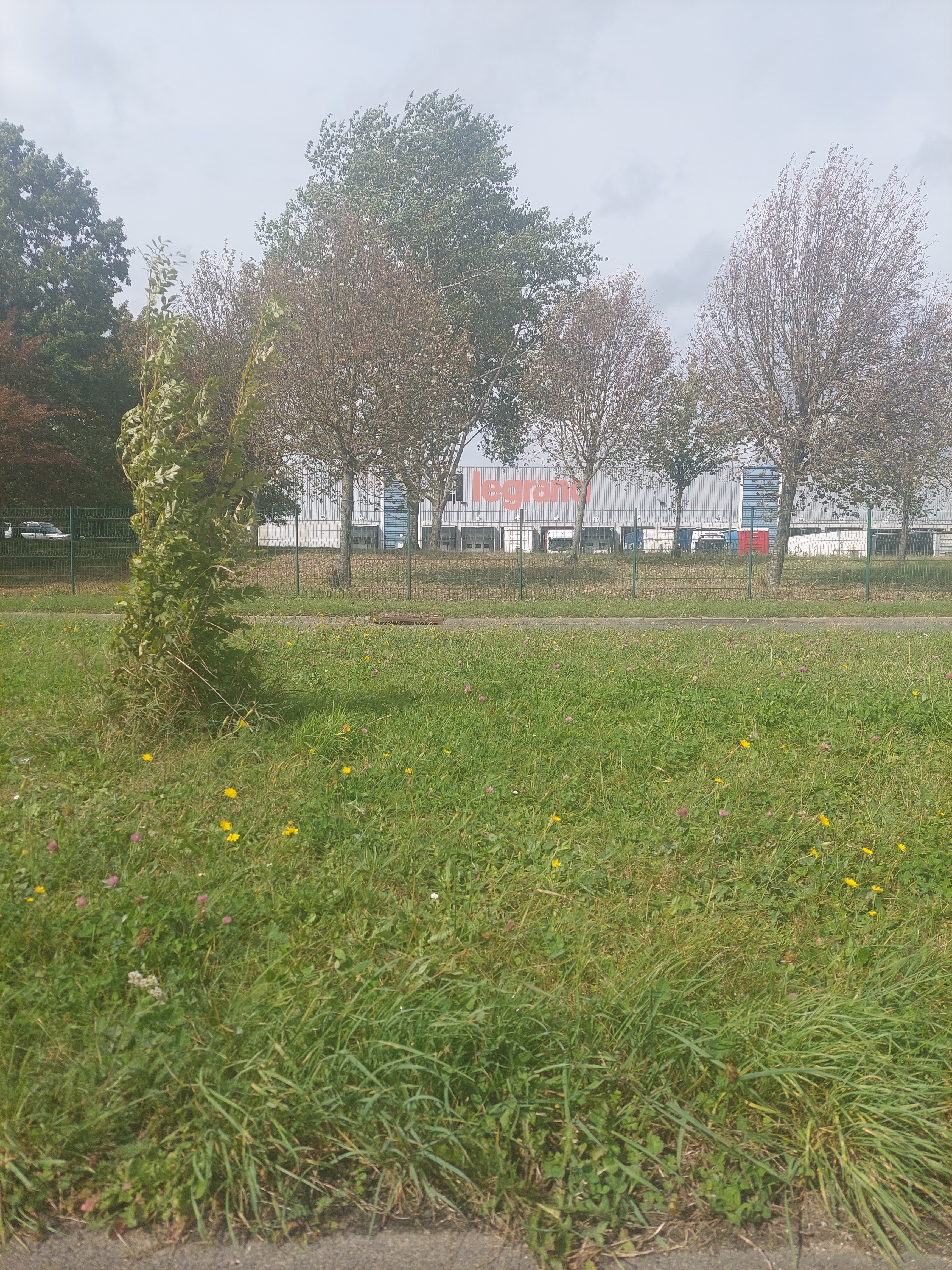 Photo n° 2 de l'avis de Csaba.z fait le 20/09/2023 à 17:23
