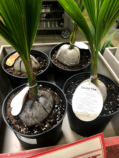 Hardware Store «Orchard Supply Hardware», reviews and photos, 5960 Sepulveda Blvd, Van Nuys, CA 91411, USA