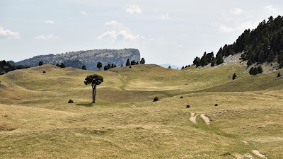 Plaine de la Queyrie à Chichilianne