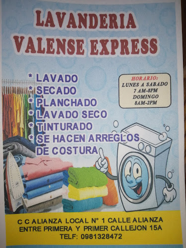 Lavandería Valense Express - Lavandería