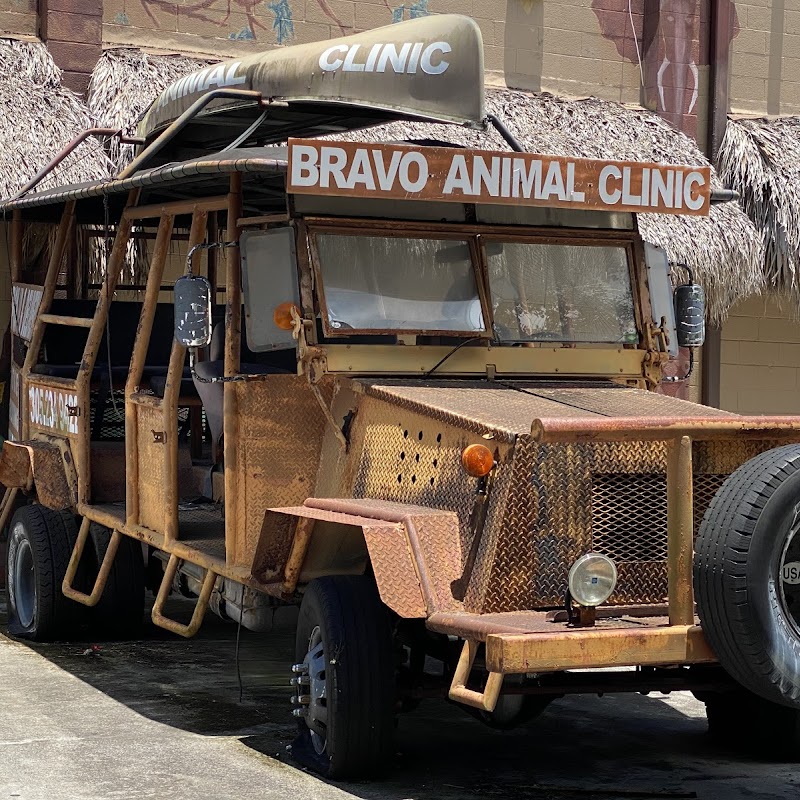 Bravo Animal Hospital