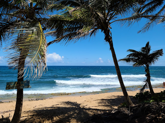 Kikita Surf beach