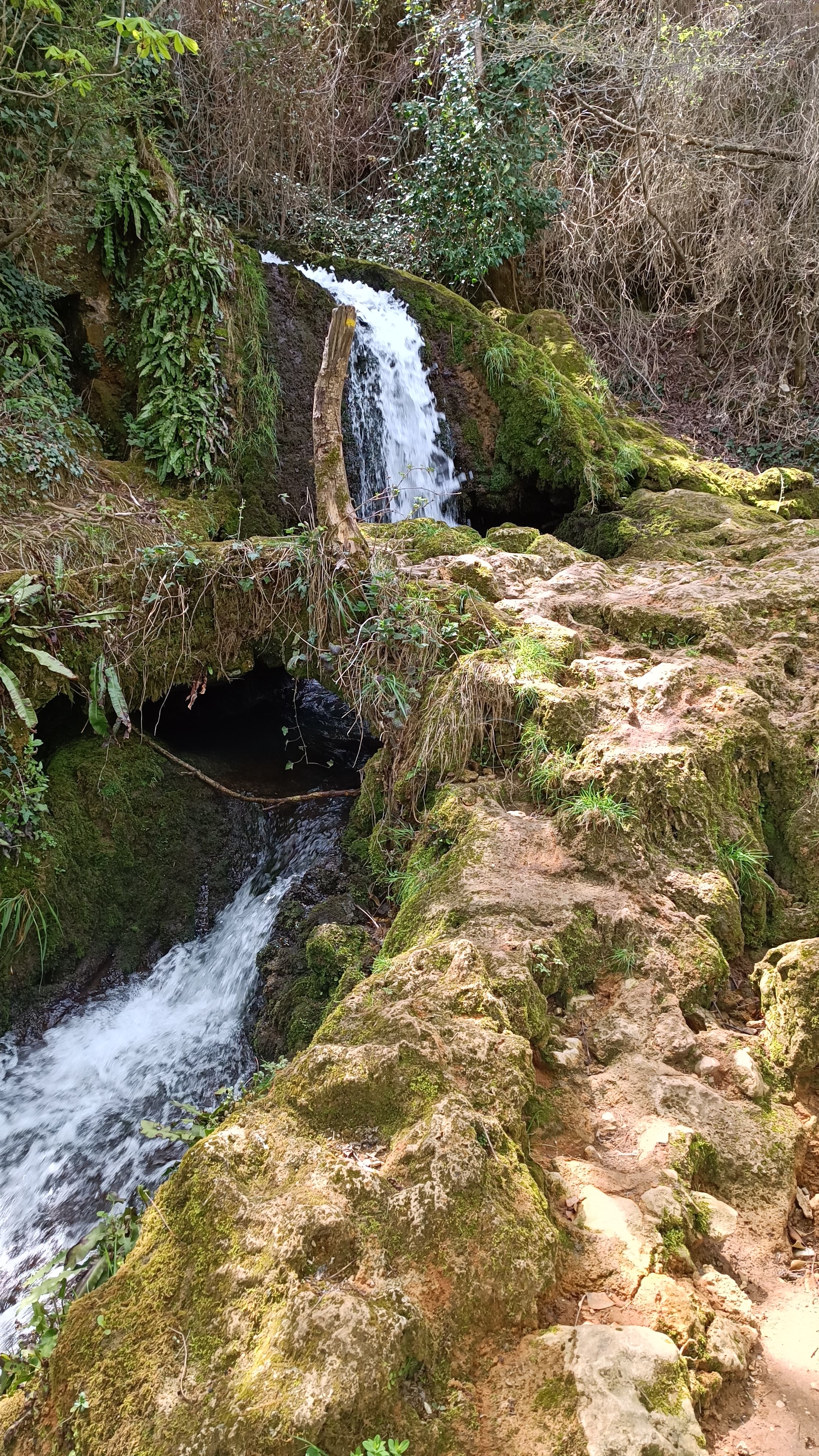 Photo n° 6 de l'avis de aleks.u fait le 09/04/2023 à 21:29
