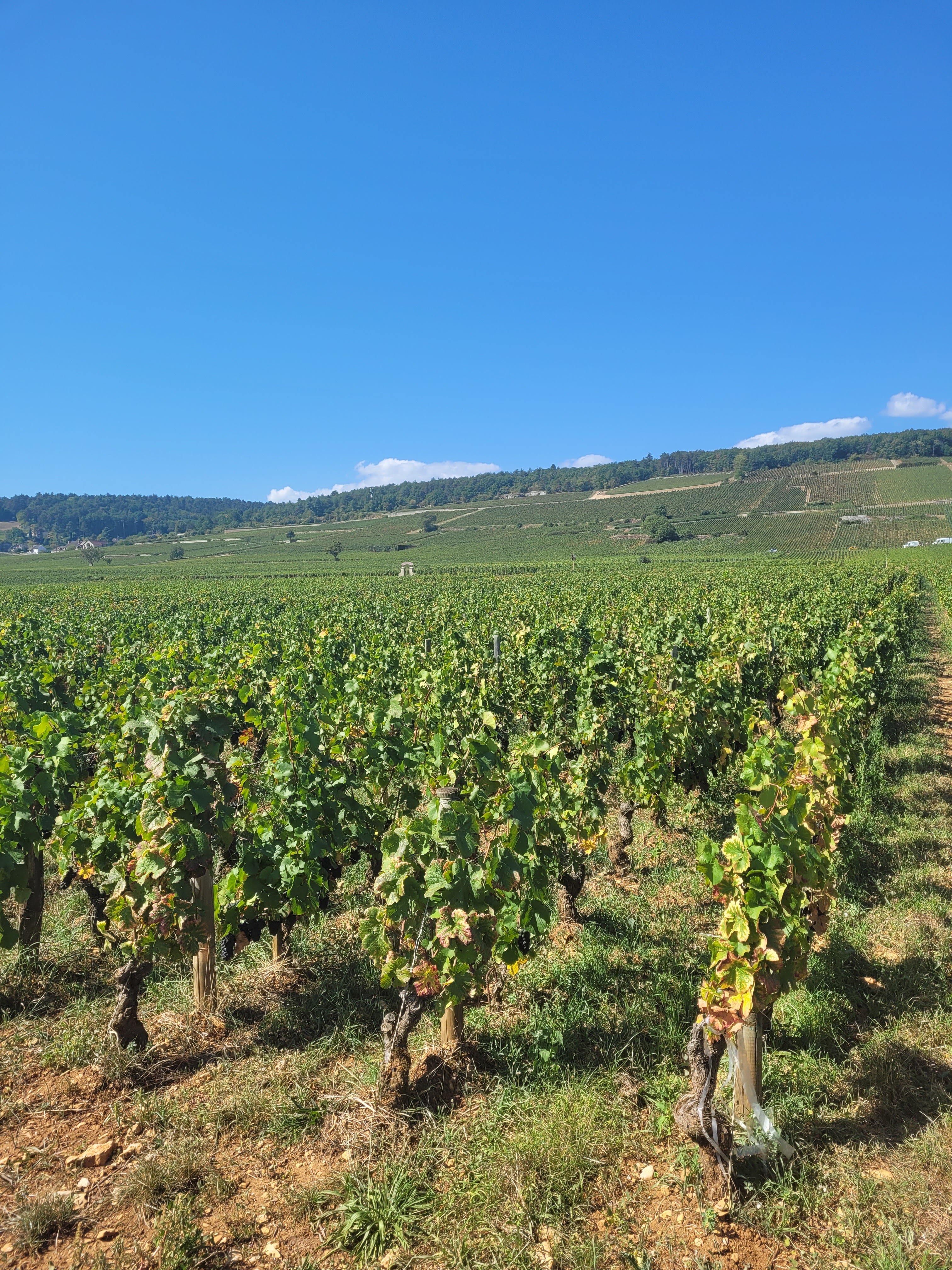 Photo n° 2 de l'avis de Lise.E fait le 11/10/2023 à 12:53