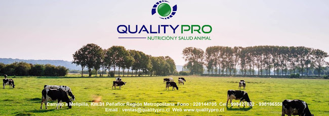Opiniones de Quality Pro Ltda :: Salud y Nutricion Animal en Peñaflor - Tienda
