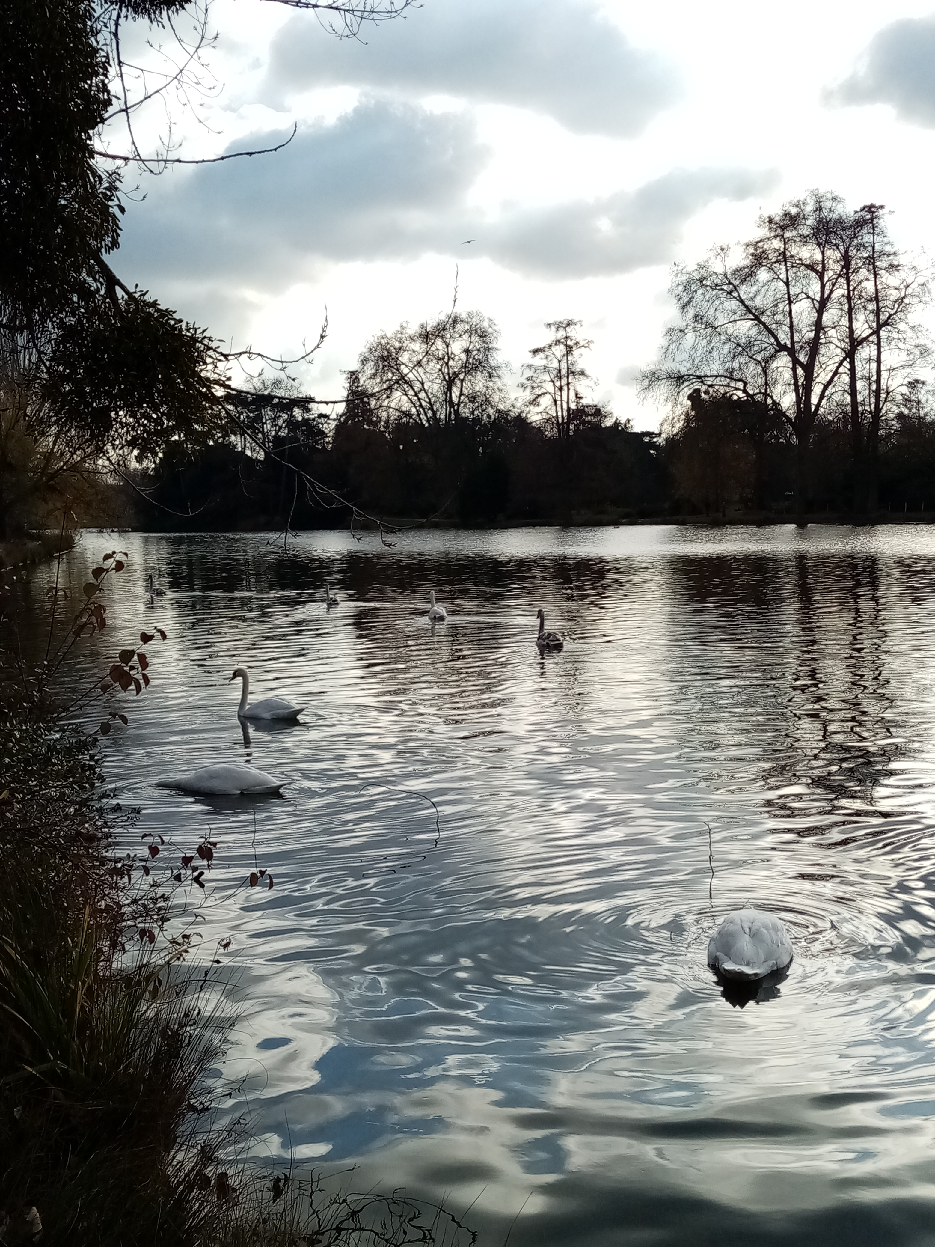 Photo n° 4 de l'avis de Sylvie.a fait le 11/10/2021 à 06:16