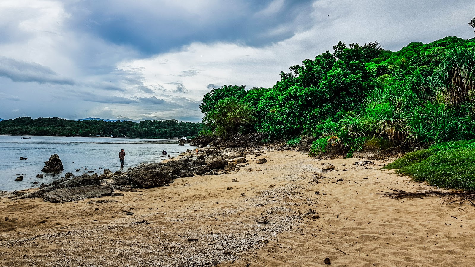 Zdjęcie Cliff beach Siaton z powierzchnią beżowy piasek i kamienie