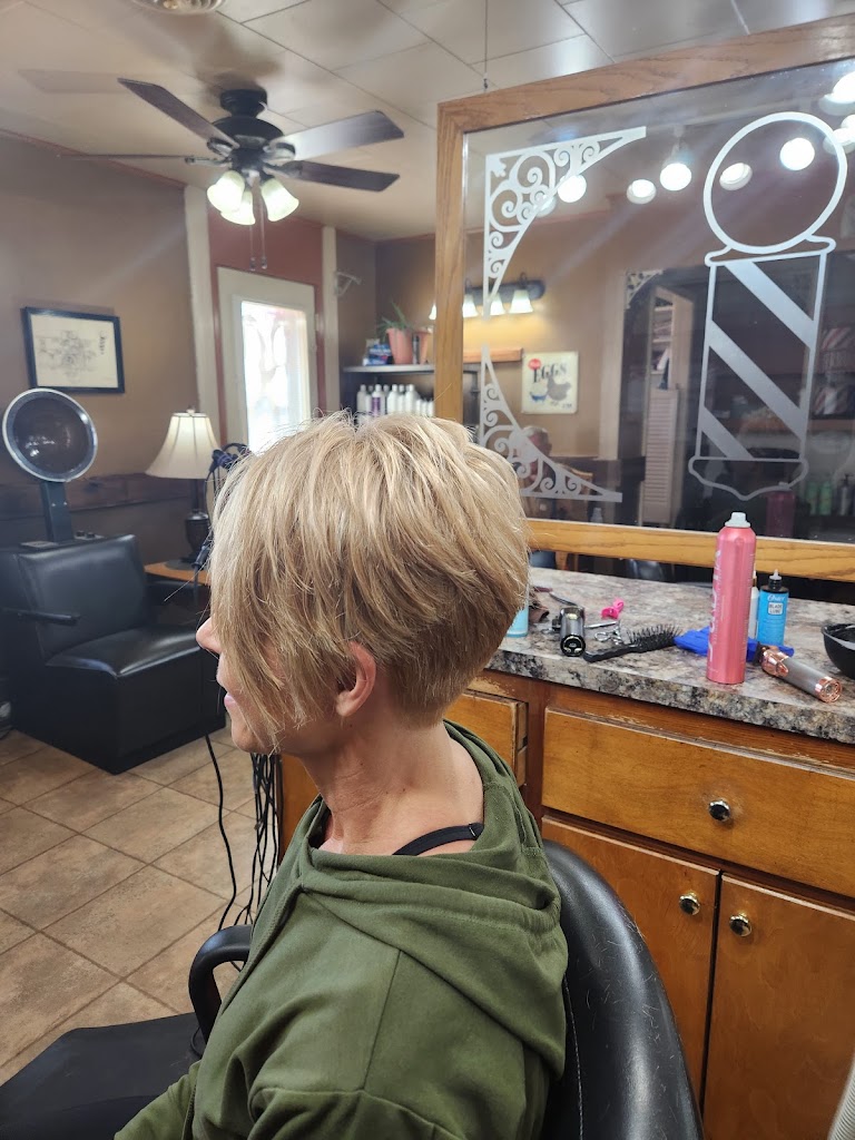Donna's Hair Creations 68343