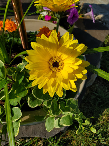 Park «Gough Park», reviews and photos, 9300 Honeygo Blvd, Perry Hall, MD 21128, USA