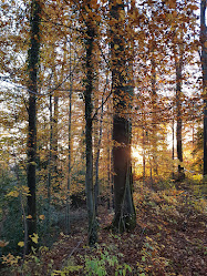 Forstbetrieb Bürgergemeinde Solothurn