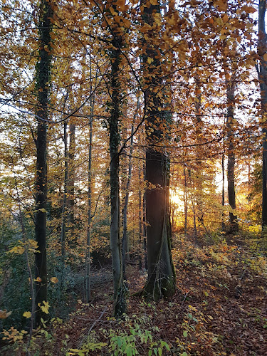 Forstbetrieb Bürgergemeinde Solothurn