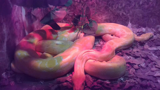 Discount Store «Walmart», reviews and photos, 1000 Easton Rd #200, Wyncote, PA 19095, USA