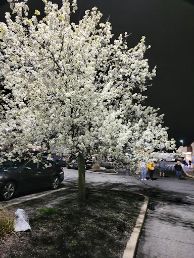 Movie Theater «Regal Cinemas Hadley Theatre 16», reviews and photos, 1000 Corporate Ct, South Plainfield, NJ 07080, USA