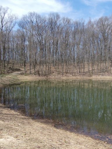 Nature Preserve «Boyd Big Tree Preserve Conservation Area», reviews and photos, Fishing Creek Valley Rd, Harrisburg, PA 17112, USA