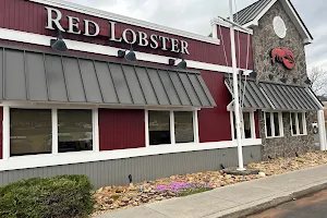 Red Lobster image