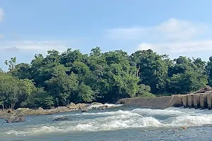 Netravathi River Dam, Dharmasthala image