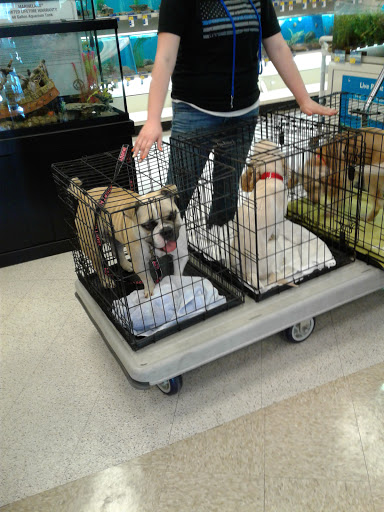Pet Supply Store «PetSmart», reviews and photos, 10900 W Jefferson Blvd, Culver City, CA 90230, USA