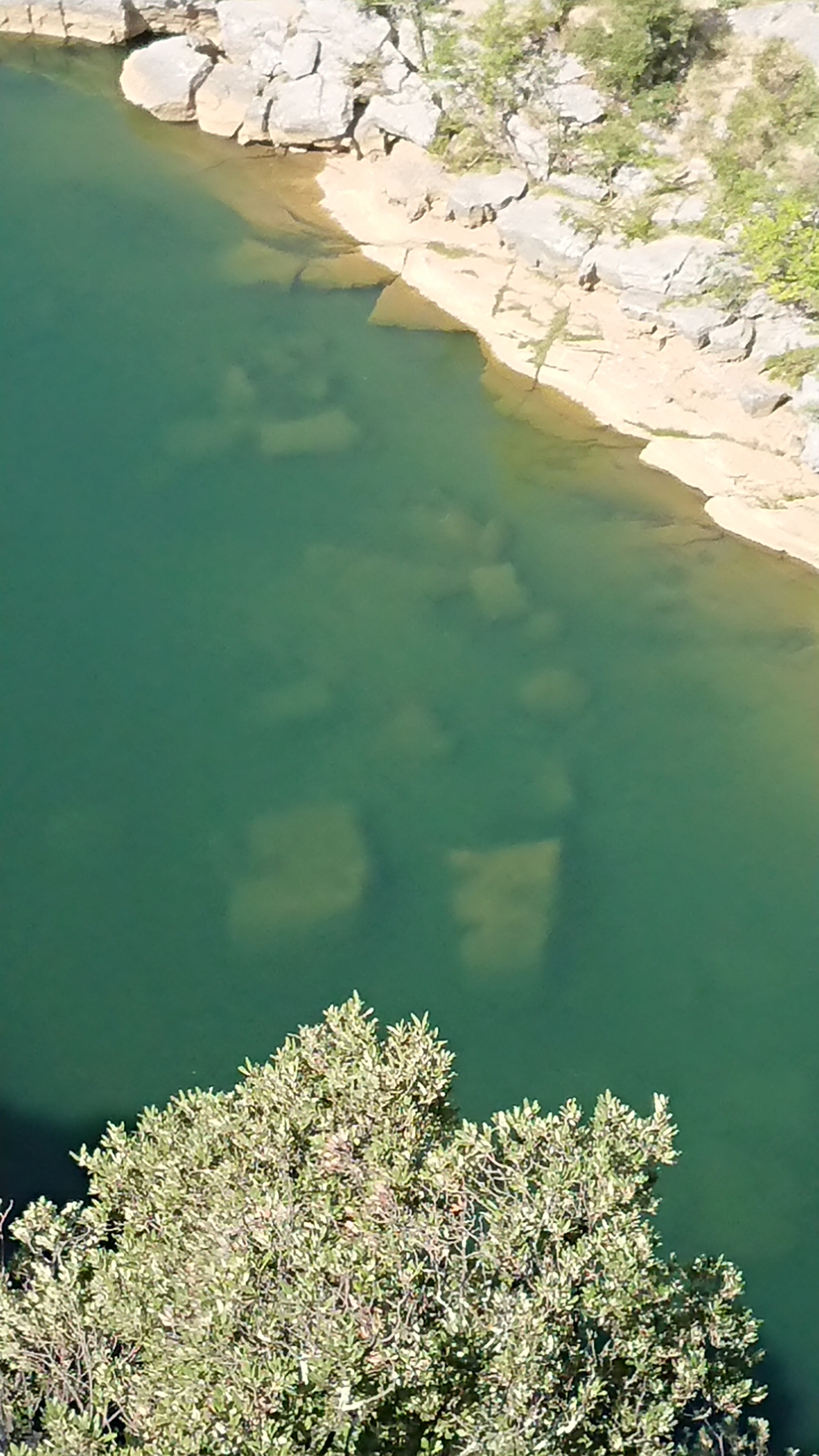 Photo n° 1 de l'avis de Liinn.s fait le 06/09/2018 à 08:50