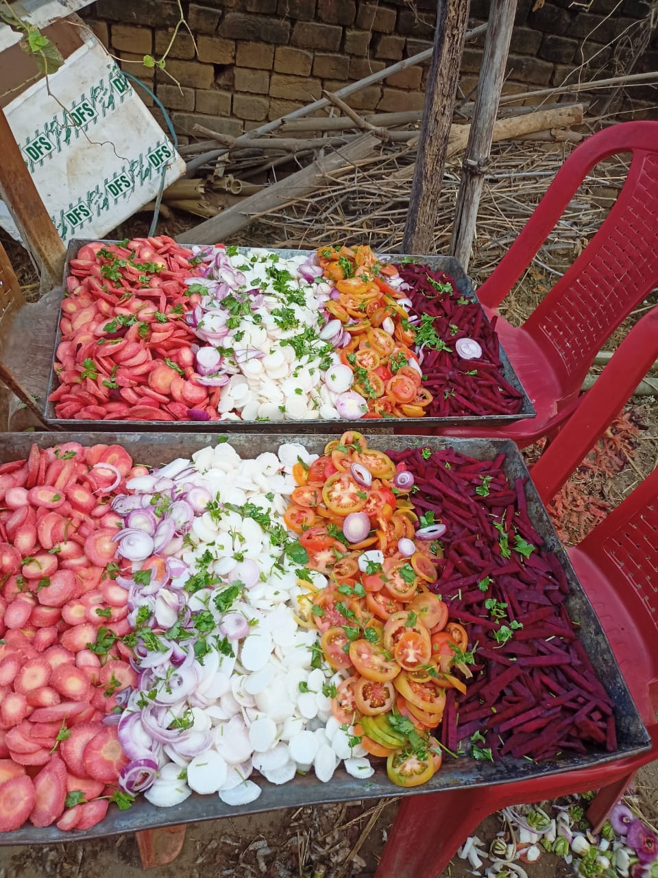 Sagar Catering Group