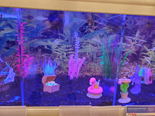 Pet Supply Store «PetSmart», reviews and photos, 13337 Worth Ave, Woodbridge, VA 22192, USA