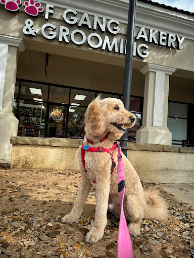 Woof Gang Bakery & Grooming Alamo Heights