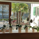 Photo n°24 de l'avis de Federico. fait le 13/04/2022 à 20:52 sur le  Hotel Walther von der Vogelweide à Klausen