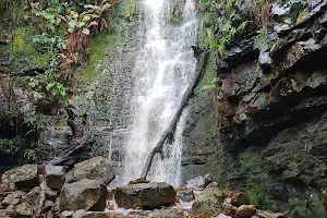 Myburgh's Waterfall Ravine image