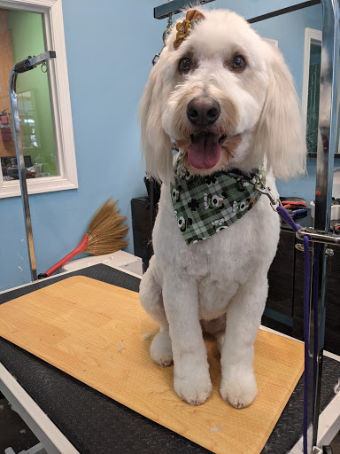 Pet Store «Canine Carousel», reviews and photos, 43135 Broadlands Center Plaza #129, Ashburn, VA 20148, USA