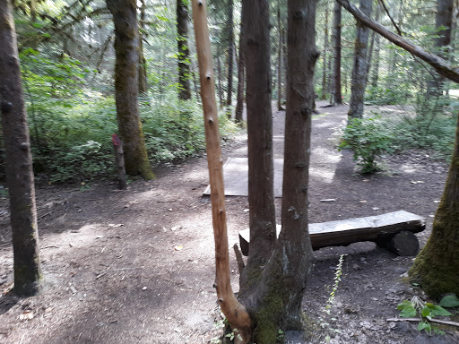 Public Golf Course «White River Disc Golf Course», reviews and photos, 2401 Stuck River Dr, Auburn, WA 98092, USA