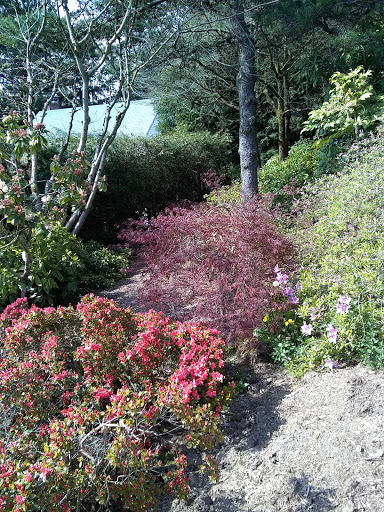 Park «Burlingame Park», reviews and photos, SW Falcon St & SW 12th Ave, Portland, OR 97219, USA