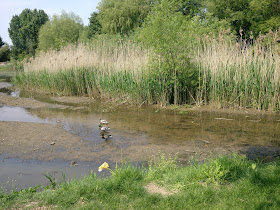 Saintbridge Balancing Pond