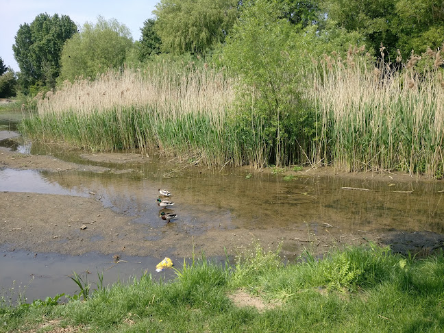 Saintbridge Balancing Pond