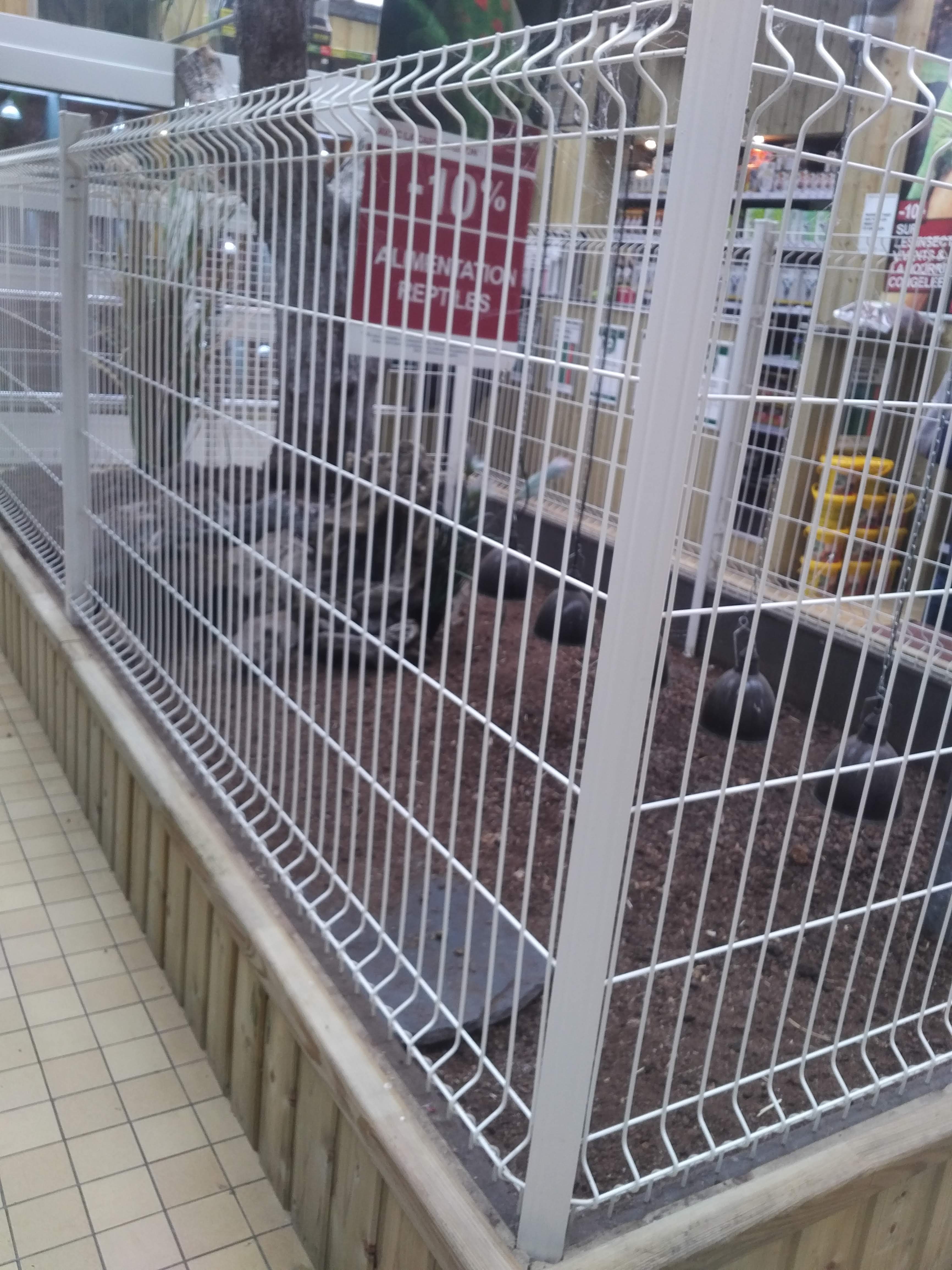 Photo n° 1 de l'avis de Nathalie.e fait le 25/09/2018 à 15:05