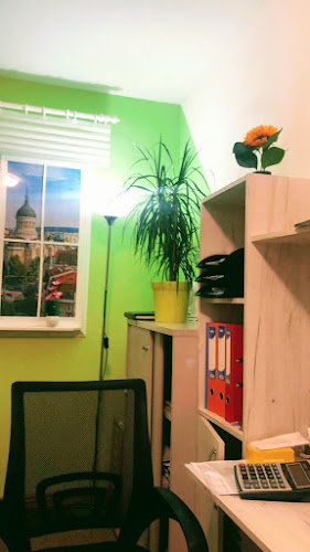 CAR Consiliul Local Cluj-Napoca - Cluj