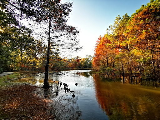 Park «Shadowbend Park», reviews and photos, 4192 Lake Woodlands Dr, The Woodlands, TX 77381, USA