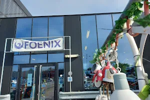 Foenix Recycle and Reintegration image