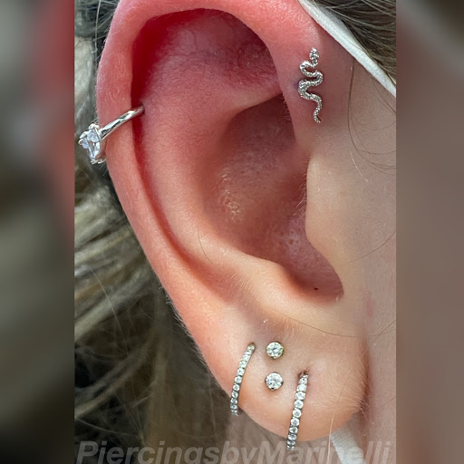 Explore tattoo ideas horses, creative tattoo ideas in Wilmington, available at Studio Seven Piercing