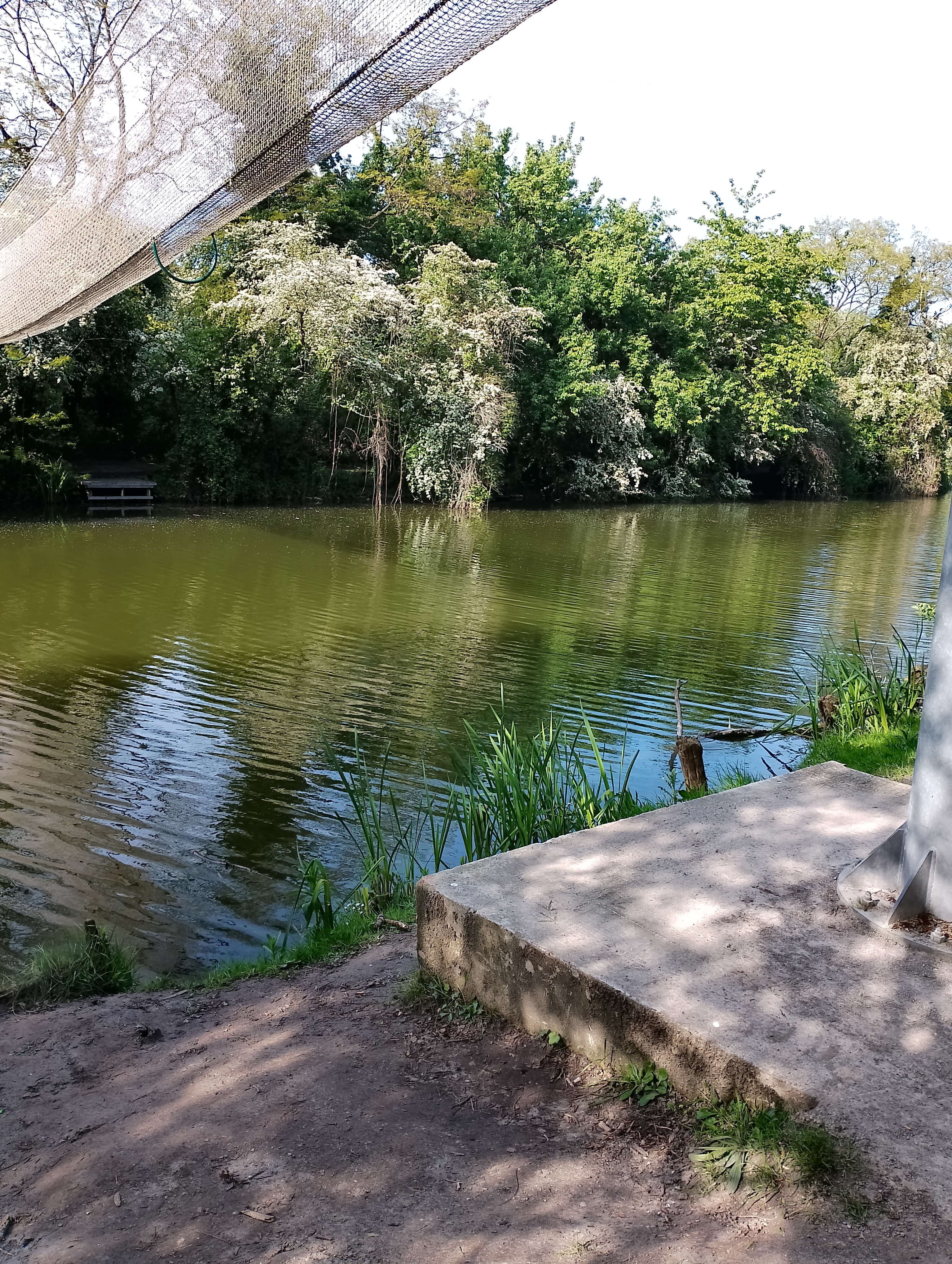 Photo n° 5 de l'avis de Corinne.o fait le 17/05/2023 à 16:10